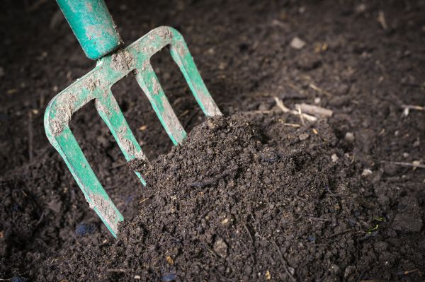 Cost of Topsoil Spreading in Lubbock